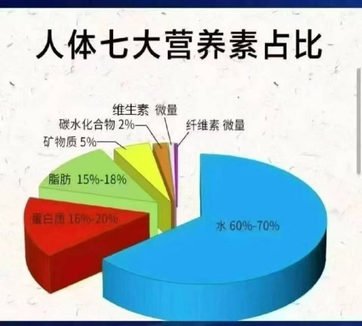 什么是【七大营养素】❓ 水，脂肪，蛋白质，维生素，矿物质，膳食纤维，碳水化物 👉🏻全世界只有两种食物 配图