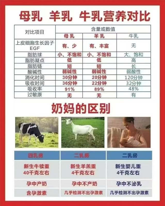 喝了羊奶粉后，大家都感觉到精气神比原来好了 羊奶是最接近母乳的，羊奶吸收率89%，牛奶的吸收率才48 配图