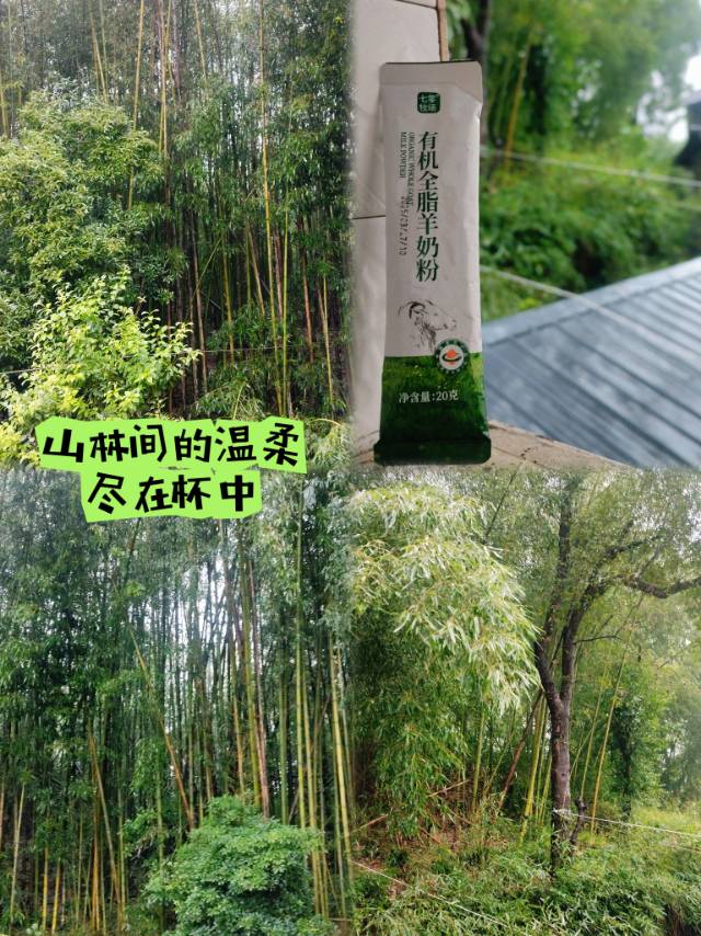 山野限定早餐 ​晨光漫过青瓦檐，屋檐下，陶罐煨着淳朴滋味 配图