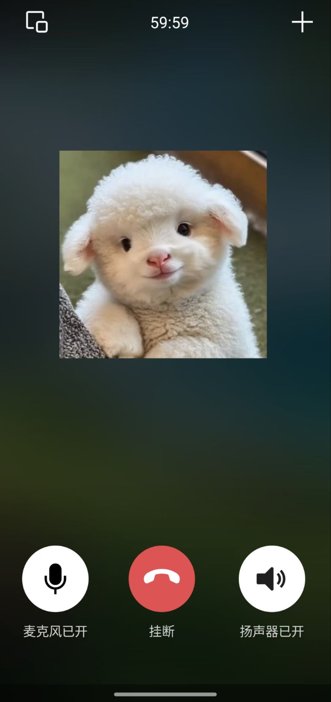 每天语音爆炸式咨询💥 一个人最好的状态 就是知道自己想要什么，并全力以赴！！ 要站在对的方向，你的努 配图