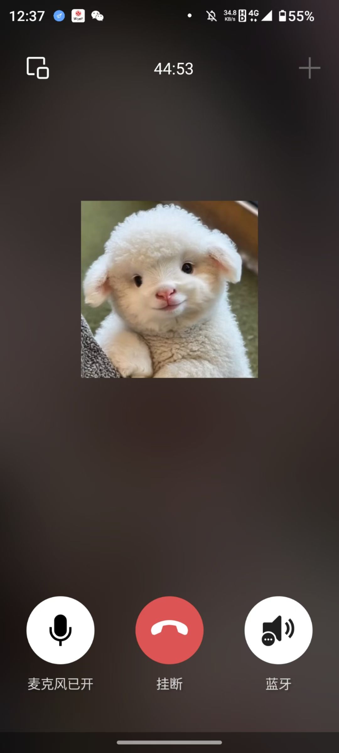 每天语音爆炸式咨询💥 一个人最好的状态 就是知道自己想要什么，并全力以赴！！ 要站在对的方向，你的努 配图