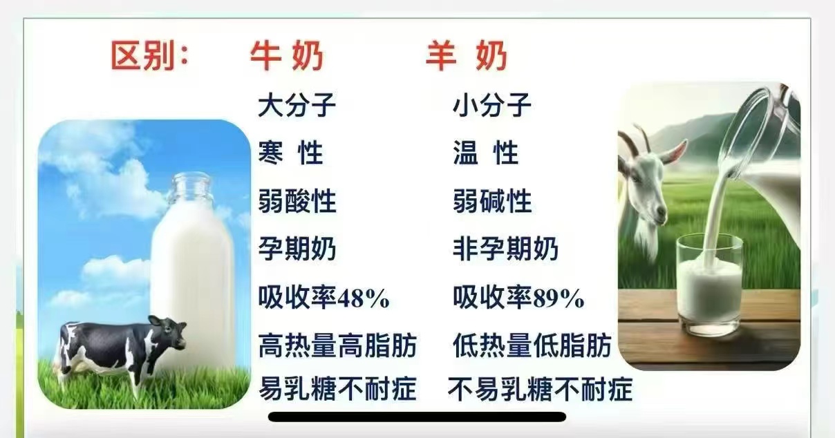 什么叫餐桌赛道？ 就是藏在吃吃喝喝里的事业！ 最好的医院是厨房 最好的医生是自己 最好的药物是食物  配图