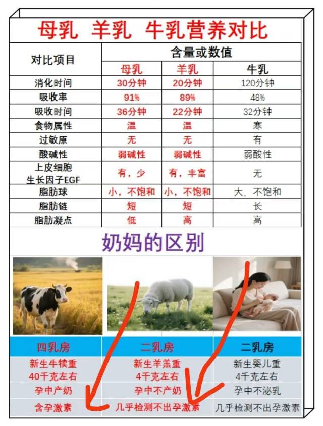 小朋友喝羊奶🥛 ​不用担心有激素 ​ ​看图3，羊孕中不产奶，不用担心激素！ 配图