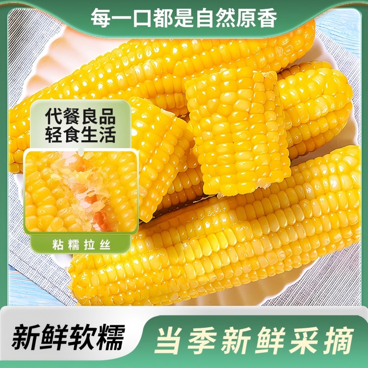 一米距离东北黄糯玉米糯九品种嫩甜口220g-250g/根*10根