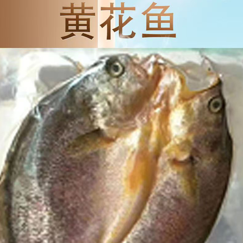 黄花鱼干海鱼干淡晒海味干货生鲜鱼类海鲜水产