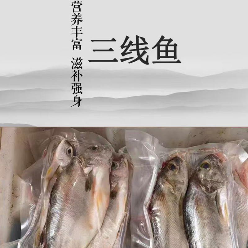 三线鱼干海鱼干淡晒海味干货生鲜鱼类海鲜水产