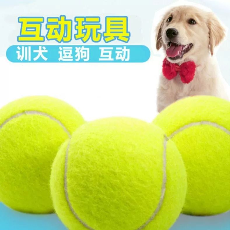 宠物玩具网球狗狗磨牙耐咬弹力球户外训练球互动玩具小狗解闷神器