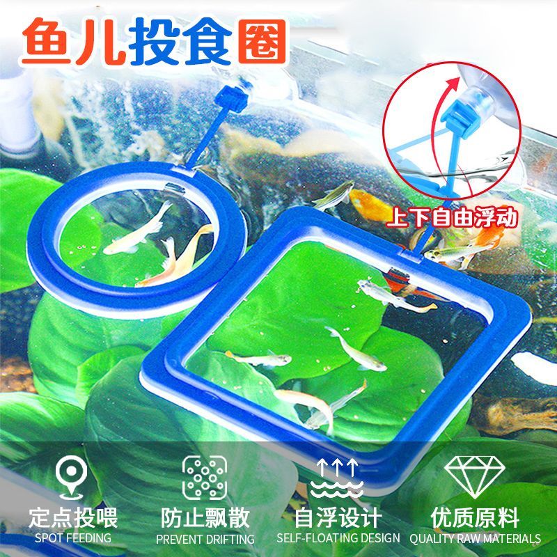 鱼缸投食圈喂鱼神器投喂圈漂浮鱼儿孔雀鱼粮喂食器观赏鱼料投喂器