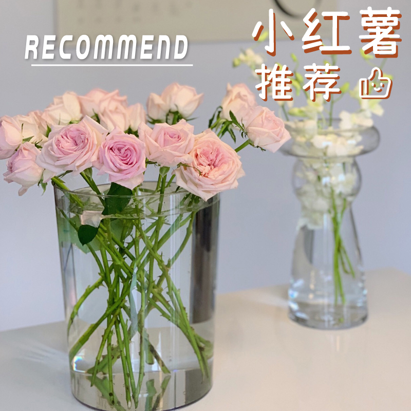 特大玻璃花瓶大号直筒透明客厅落地插花富贵竹水培水养简约摆件