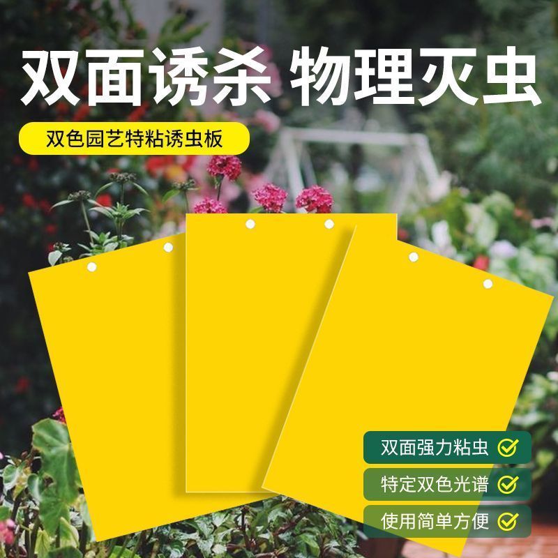 双面粘虫黄板诱虫板柑橘子树瓜果实蝇针蜂粘苍蝇贴粘虫板蓟粘鼠板