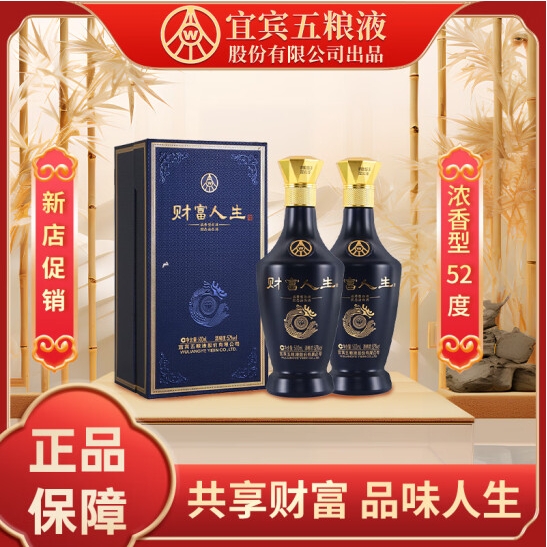 五粮液（WULIANGYE）酒 五粮液财富人生 52度浓香型白酒礼盒酒 商务宴请送礼佳品 财富人生蓝钻 500ml*6瓶 