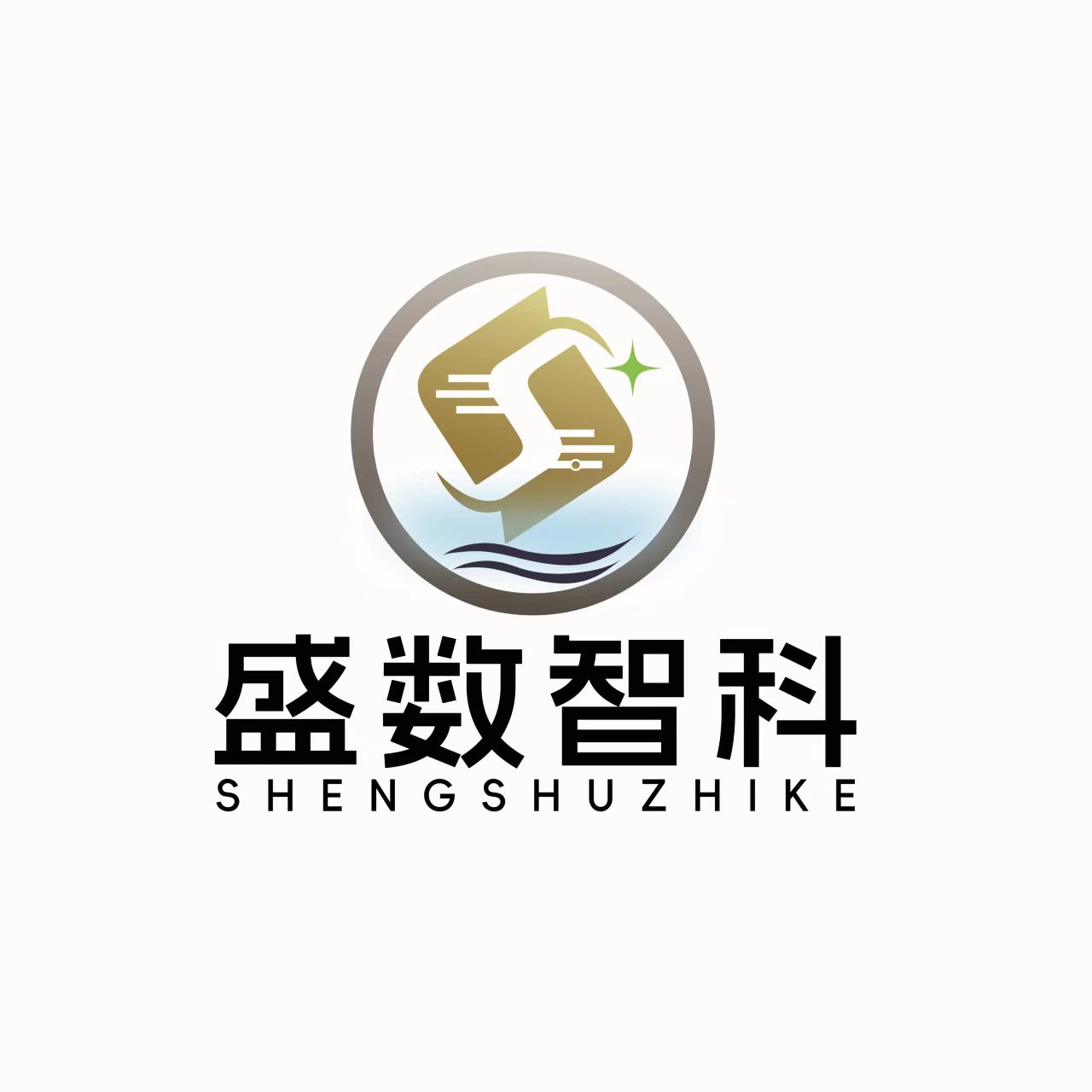 盛数智科总店