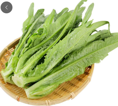 油麦菜