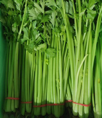 香芹