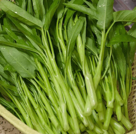 空心菜