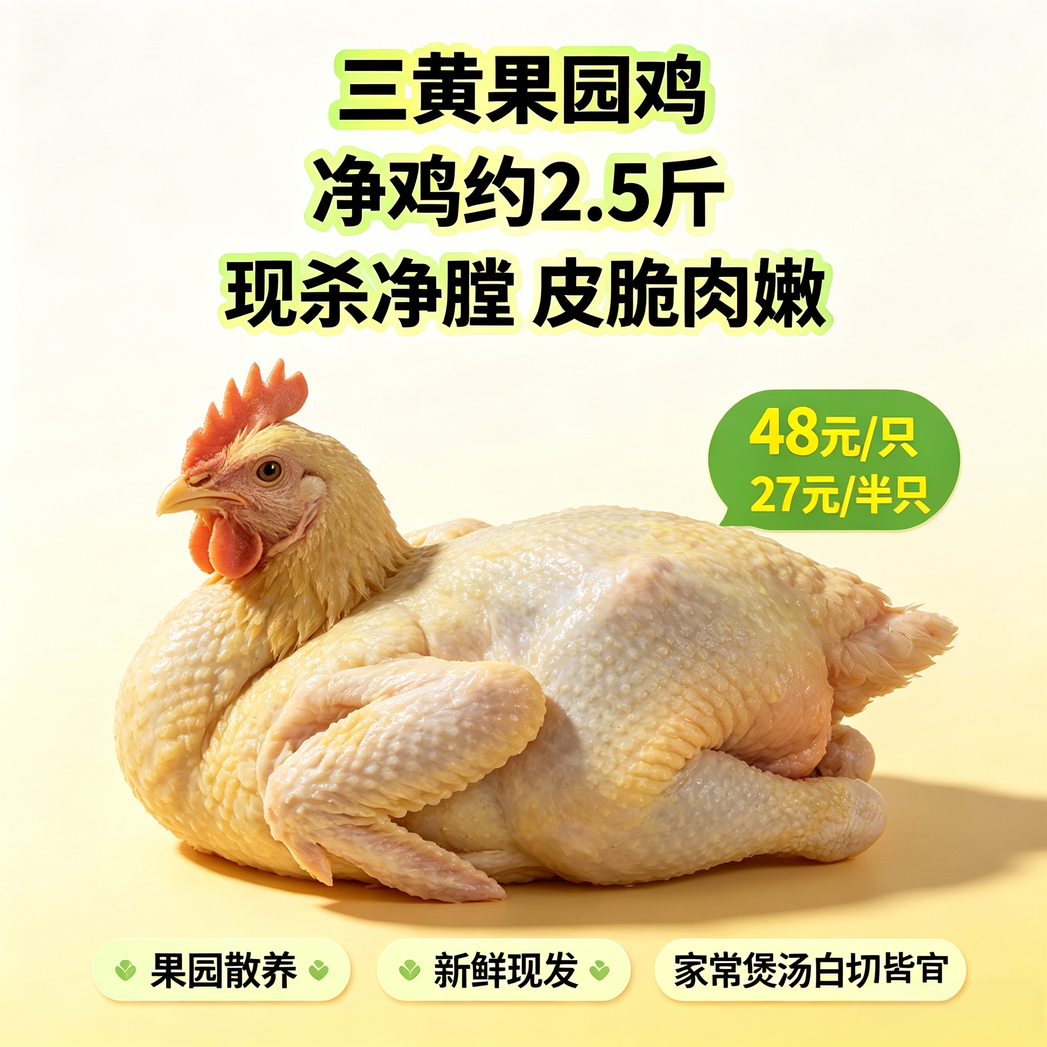 果园散养三黄鸡 现杀净膛 皮脆肉嫩 整只约 2.5 斤