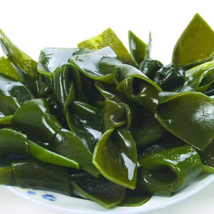 海带结