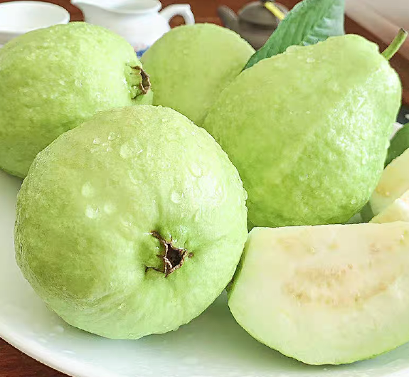 番石榴
