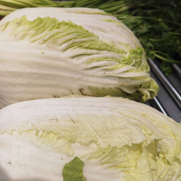 大白菜