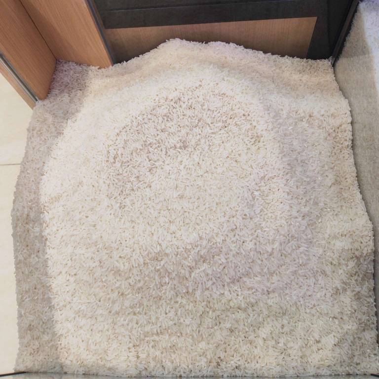 精品阳山丝苗米