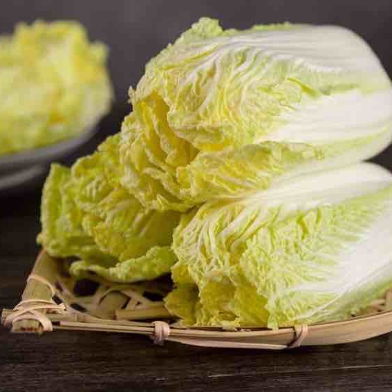 娃娃菜
