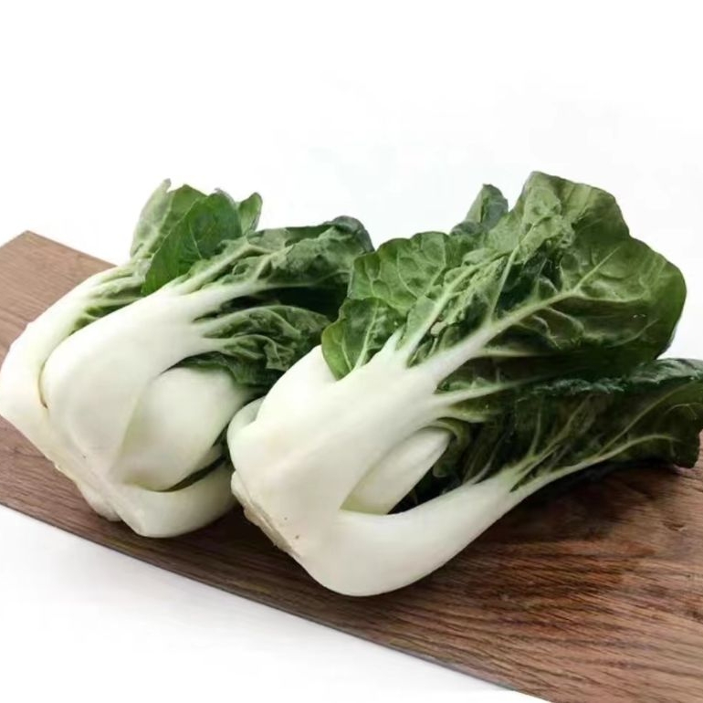 奶白菜