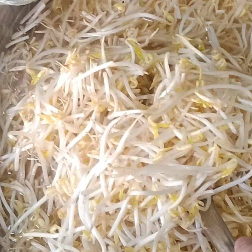 豆芽