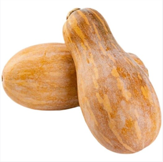 蜜本南瓜