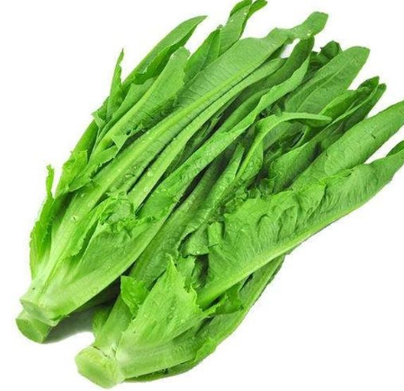 油麦菜