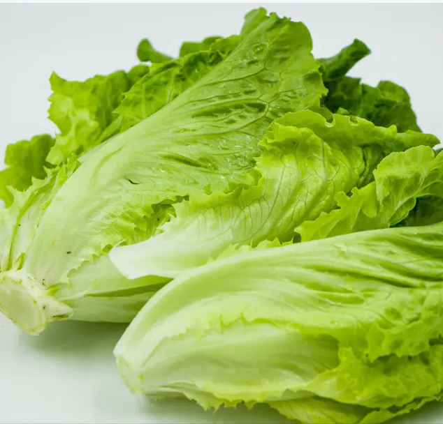 生菜