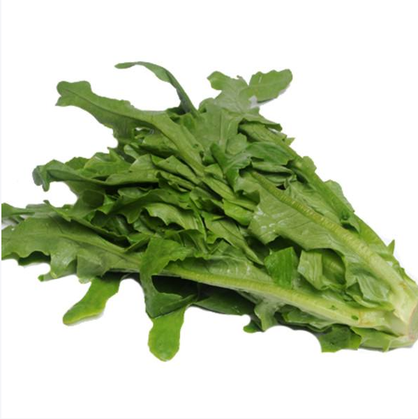 苦麦菜