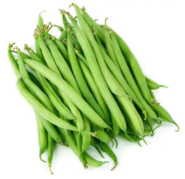四季豆