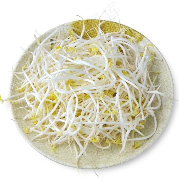 豆芽