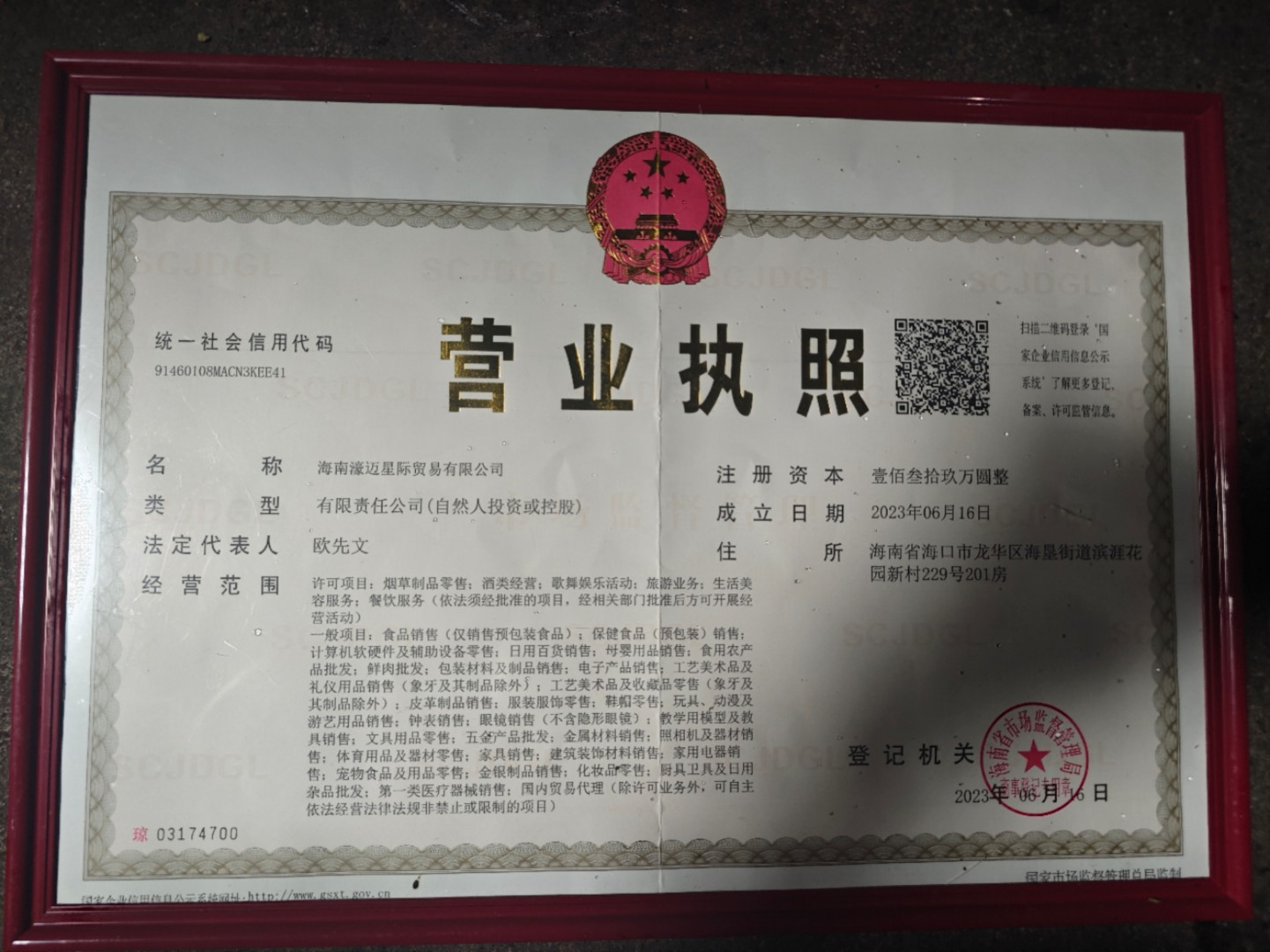 海南星际濠迈贸易有限公司