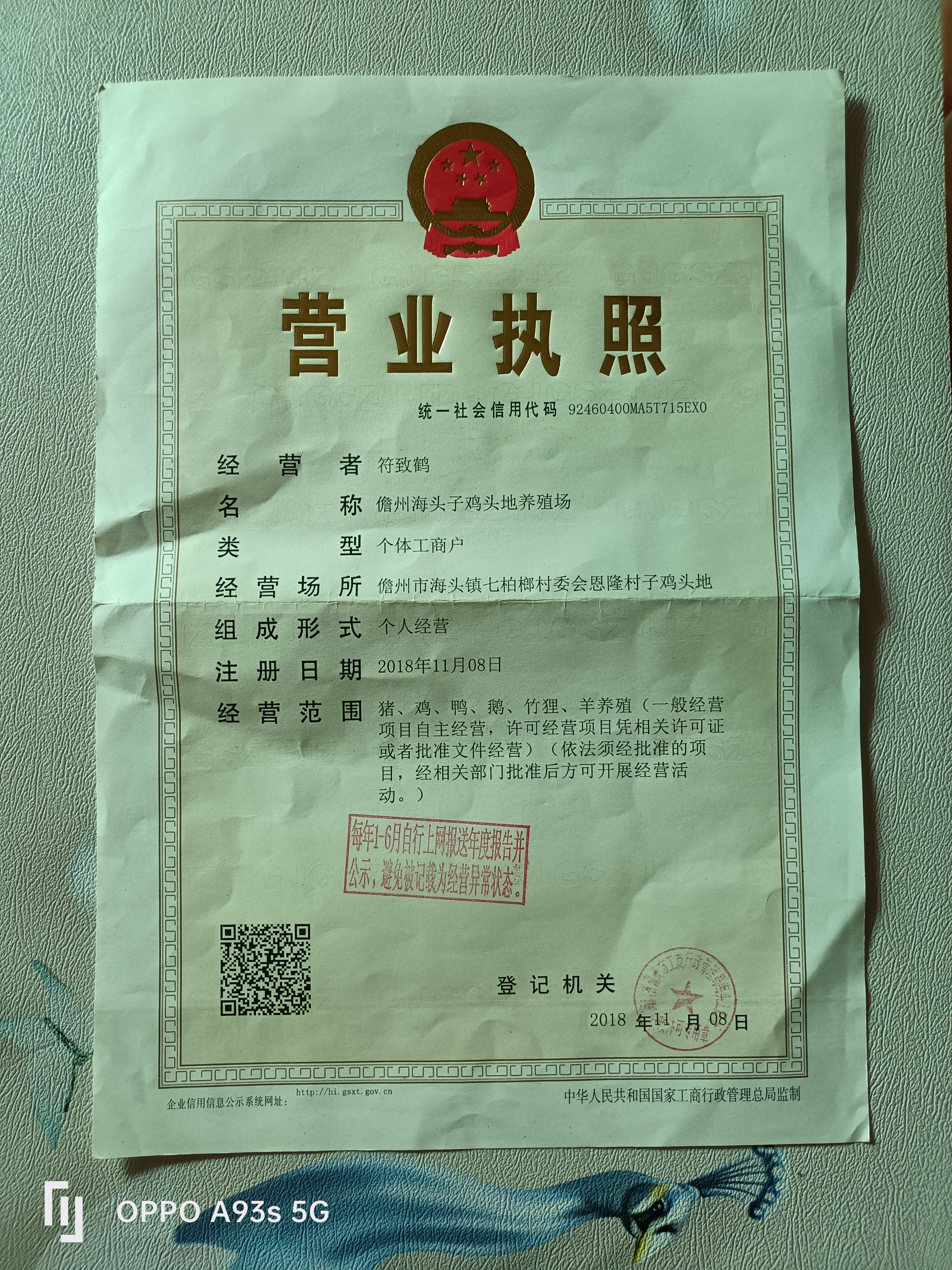 儋州海头子鸡头地养殖场