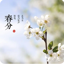 春分养生指南
