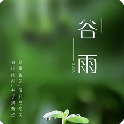 谷雨养生指南
