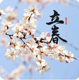 立春养生指南