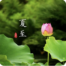 夏至养生指南