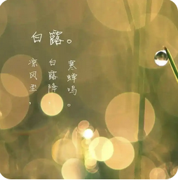 白露养生指南