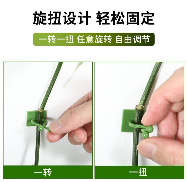 绿萝爬上神器爬墙上固定器绿植攀爬夹子墙上无痕挂钩强力粘爬藤杆