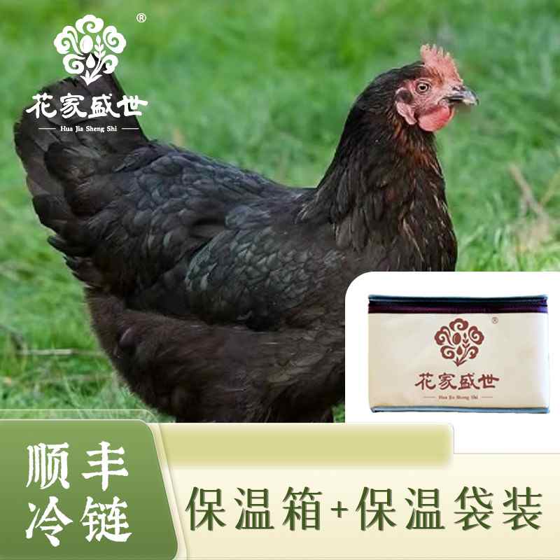 花家盛世 新品黑凤老母鸡（黑爪老母鸡）2.5斤左右/只*1只/箱