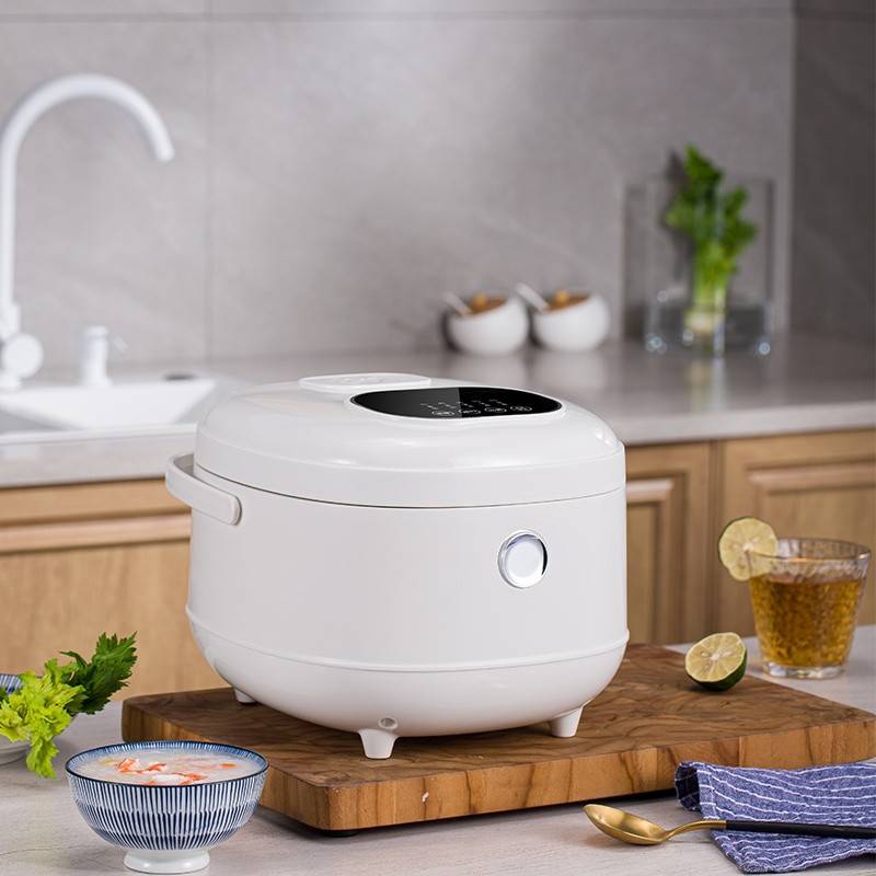 山水电器 智能电饭煲 SF-F30E2