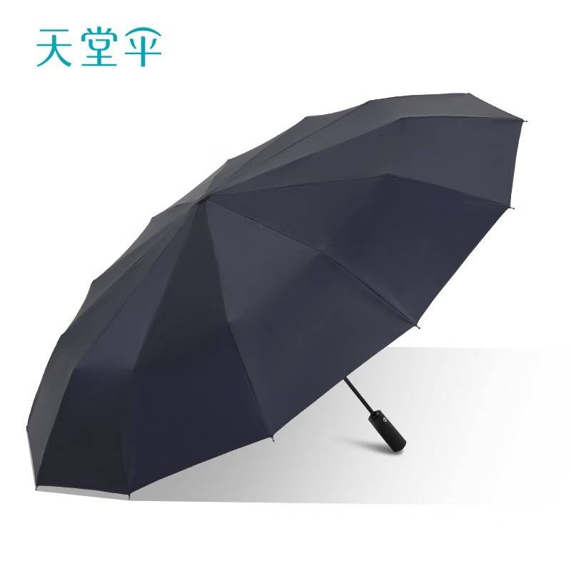 天堂伞全自动雨伞10骨超大加固男女大号双人防风学生晴雨伞遮阳伞广告伞 38018