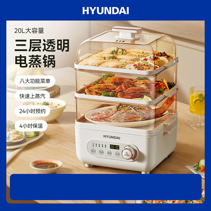 HYUNDAI电蒸锅AEM-DZG6