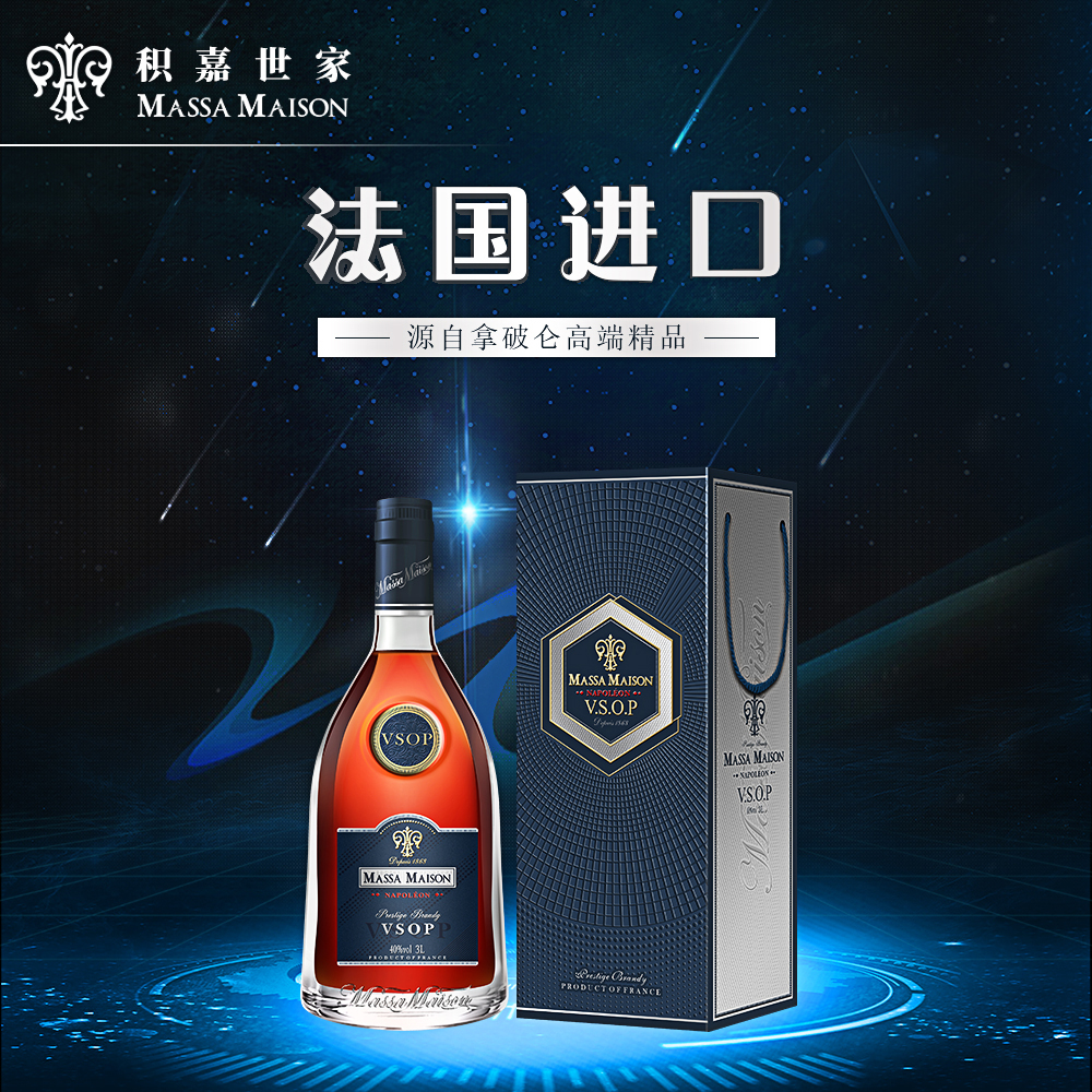 积嘉世家拿破仑VSOP白兰地 3000ml*1瓶