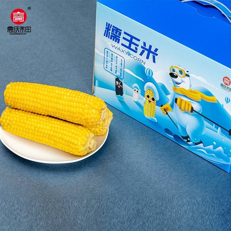 高氏禾田-精品糯玉米 黄糯玉米8穗装