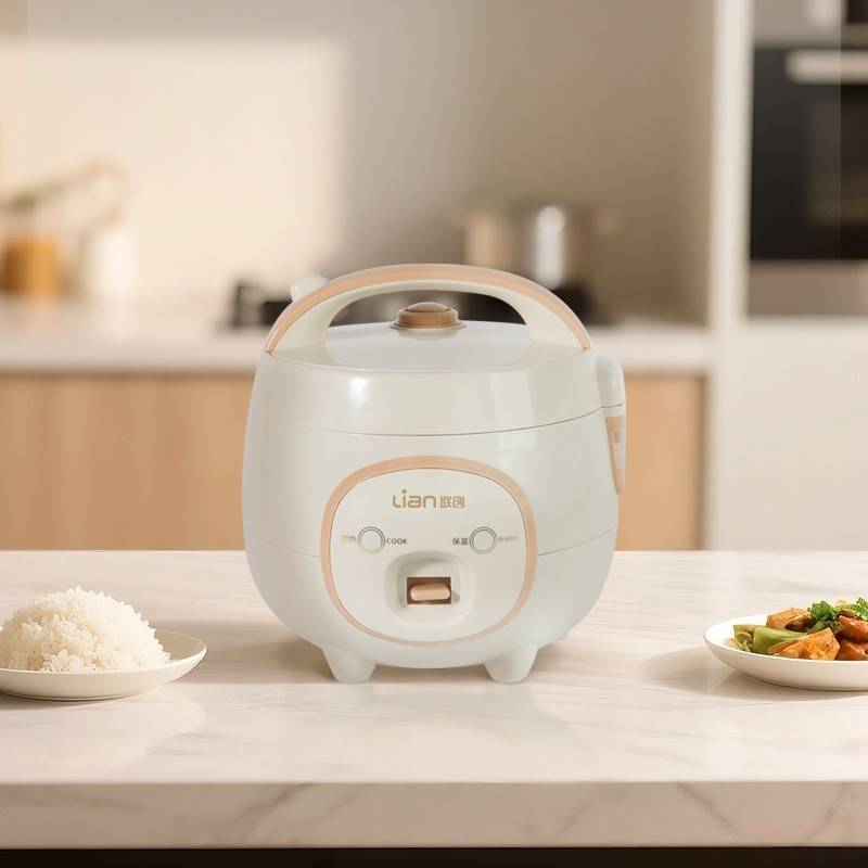 联创家用电饭煲DF-BL6068M