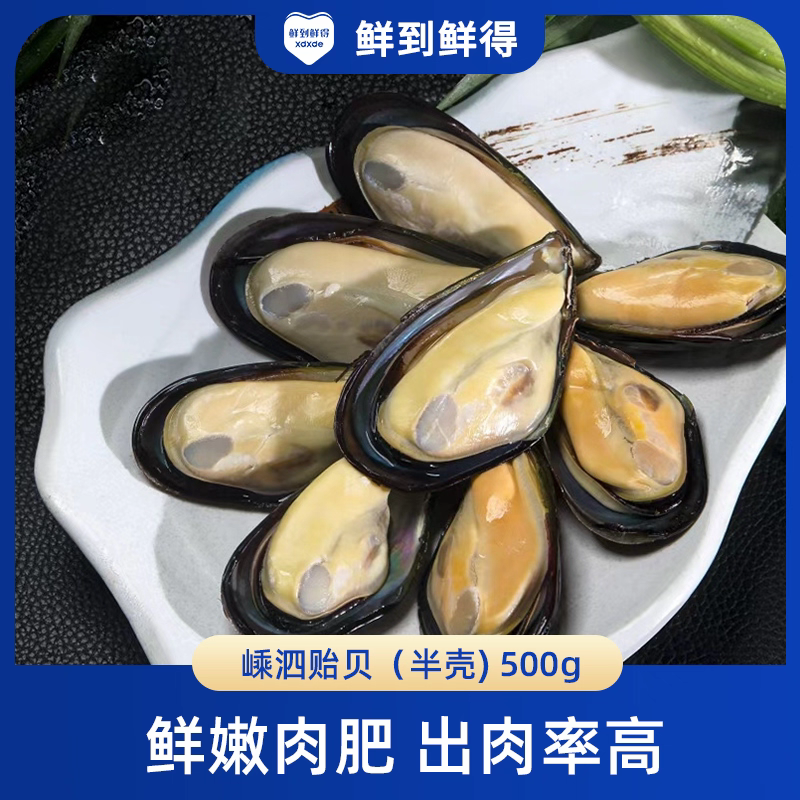 鲜到鲜得 嵊泗贻贝(半壳)500g鲜嫩肉肥出肉率高