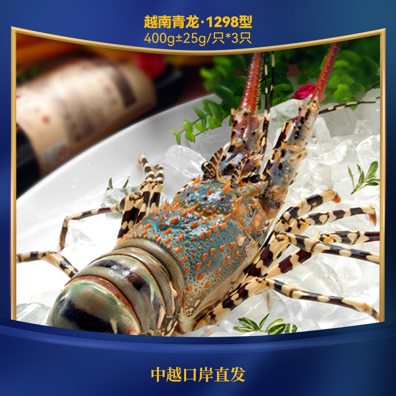 蓝魔龙 越南青龙1298型400g±25g*3只(鲜活到家 源头直发)